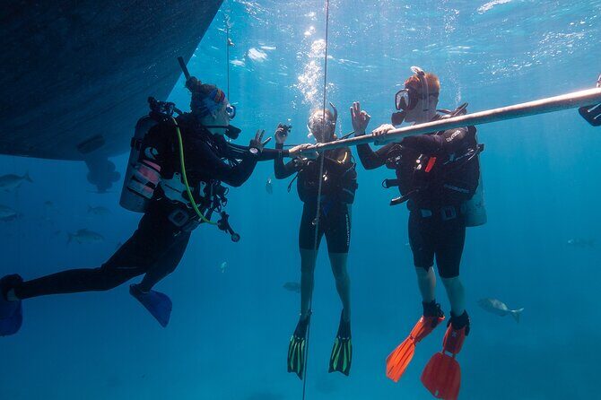 Great Barrier Reef Full Day Tour from Cairns - The Lunch: Satisfying but Not Gourmet