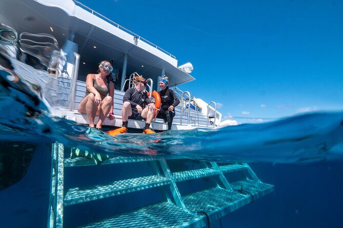 Great Barrier Reef Full Day Tour from Cairns - Cost and Value: Are You Getting Your Money’s Worth?