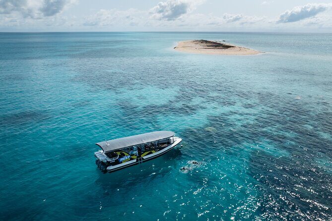 Great Barrier Reef Small Group Snorkelling Adventure - Analyzing the Value