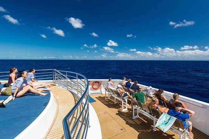 Great Barrier Reef Snorkeling and Diving Cruise from Cairns - Getting Started: What the Tour Is All About