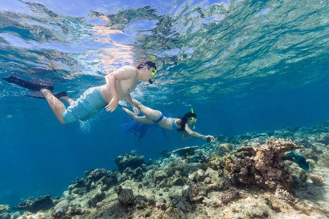 Great Barrier Reef Snorkeling and Diving Cruise from Cairns - Who Will Love This Tour?