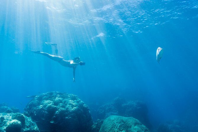 Great Barrier Reef Snorkeling and Diving Cruise from Cairns - FAQs