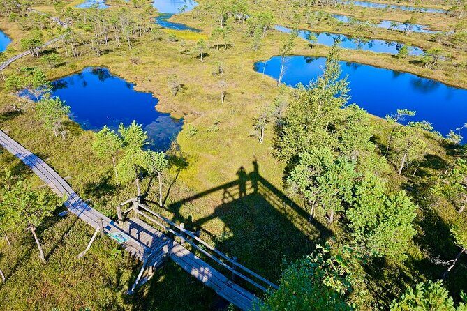 Great emeri Bog and Swamp Forest Hiking Adventure - Key Points