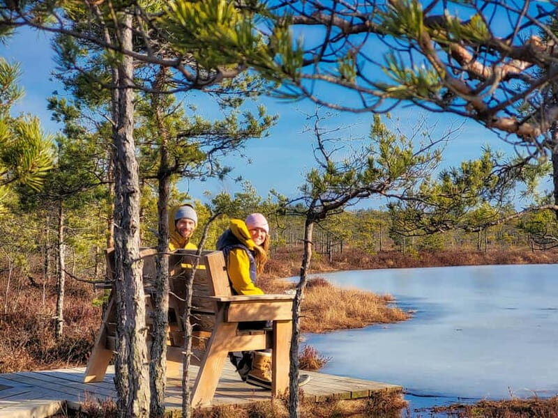 Great emeri Bog & Swamp Forest Hiking Adventure - An Honest Look at What You Can Expect