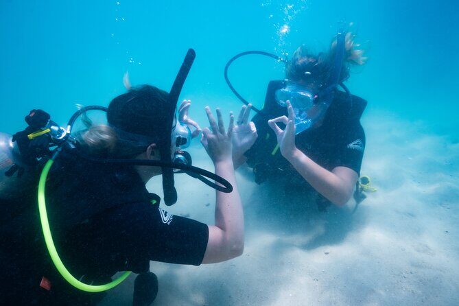 Great Keppel Island PADI Discover Scuba Dive with Keppel Dive - An In-Depth Look at the Tour