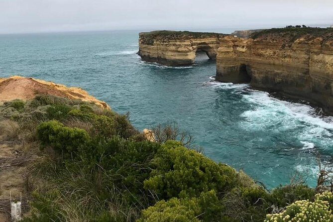 Great Ocean Road 12 Apostles kangaroo, koala and chocolate tour - A Full Breakdown of the Experience