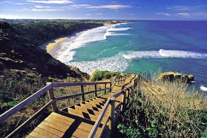 Great Ocean Road 12 apostles PRIVATE Luxury Tour 5 PAX all incl. - The Experience: Pros and Cons