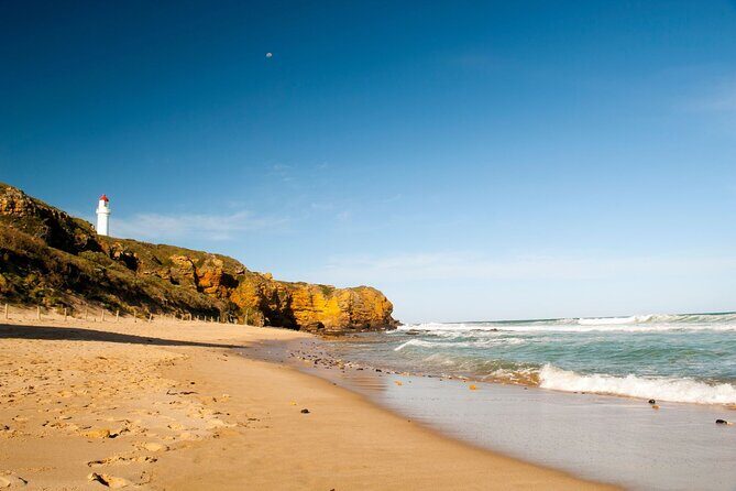 Great Ocean Road and 12 Apostles Tour - Who Should Consider This Tour?