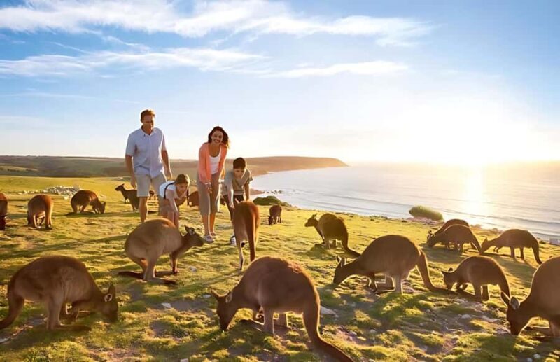 Great Ocean Road and Wildlife Day Tour - What You Can Expect from This Tour