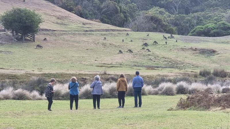 Great Ocean Road Lux Tour Max 11 Hotel Pickup - FAQs