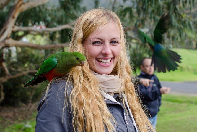 Great Ocean Road Reverse Rainforest & 12 Apostles from Melbourne - The Value of This Tour