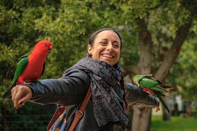 Great Ocean Road Small-Group Eco Tour from Melbourne - The Itinerary: What You Can Expect