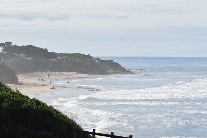 Great Ocean Road Tour Plus Koalas, Forest Walk and Morning Tea - FAQ