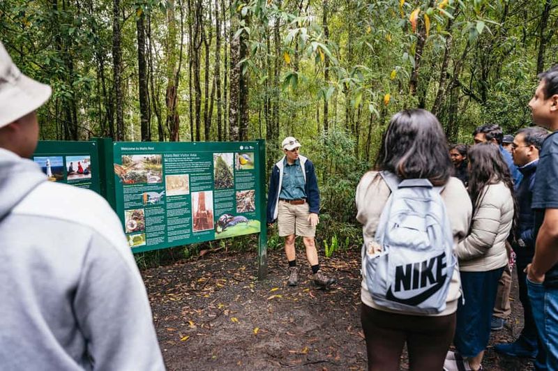 Great Ocean Road Tour w/ Deluxe Minibus & Top-Rated Guide - Loch Ard Gorge: Shipwreck Stories in a Stunning Setting