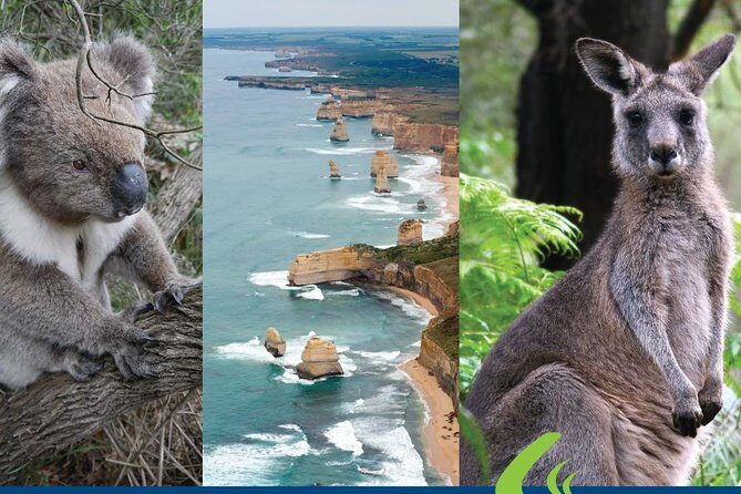Great Ocean Road Ultimate Two Day Tour - Who Is This Tour Best For?