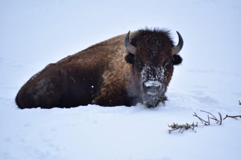 Great Plains Zoo - Who Should Consider Visiting?