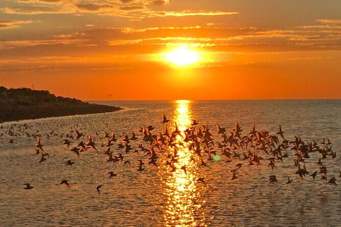 Great Salt Lake Birding and Nature Adventure - FAQs