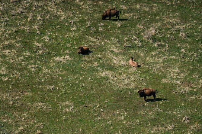 Great Salt Lake Flying Tour - The Sum Up
