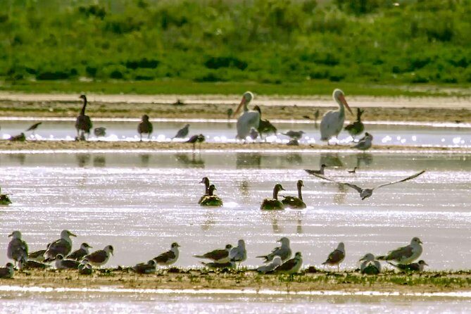 Great Salt Lake Guided Bus Tour from Salt Lake City - What’s Included and How It Works