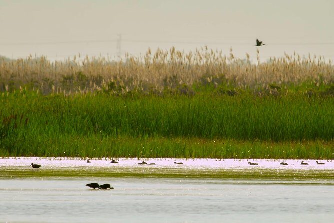 Great Salt Lake Guided Bus Tour from Salt Lake City - The Quality of the Experience