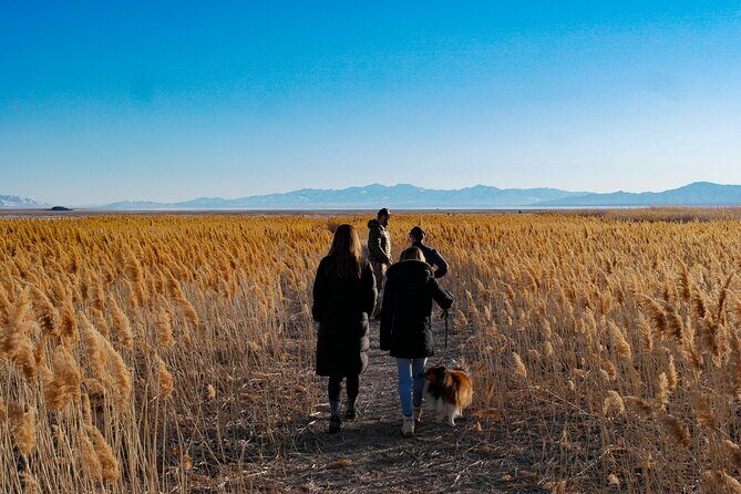 Great Salt Lake Wildlife Experience - The Sum Up: Who Is This Tour Best For?