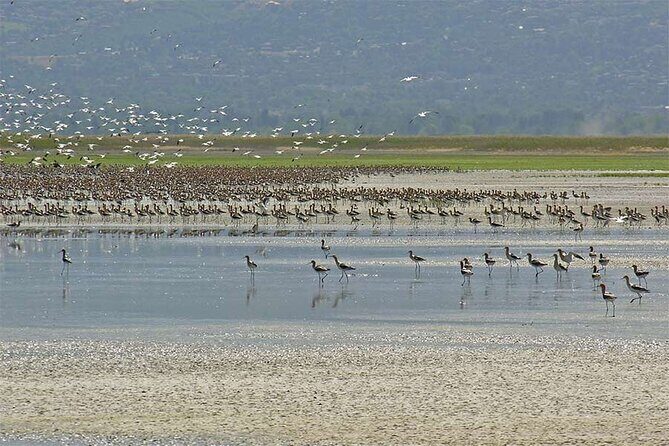 Great Salt Lake Wildlife Experience - FAQs