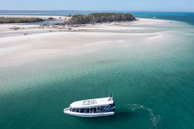 Great Sandy Straits Seven Island Ultimate Wildlife Cruise - Key Points