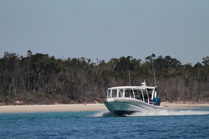 Great Sandy Straits Seven Island Ultimate Wildlife Cruise - The Itinerary in Detail