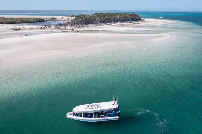Great Sandy Straits Seven Island Ultimate Wildlife Cruise - FAQs