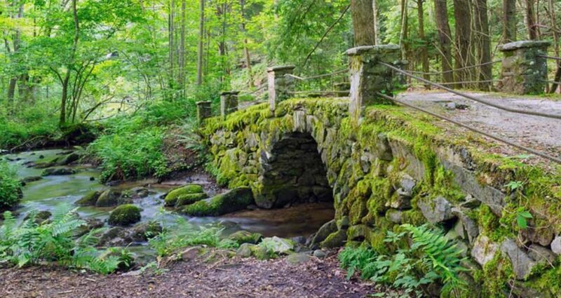 Great Smoky Mountains: Elkmont Historic District Tour - An In-Depth Look at This Smoky Mountain Tour