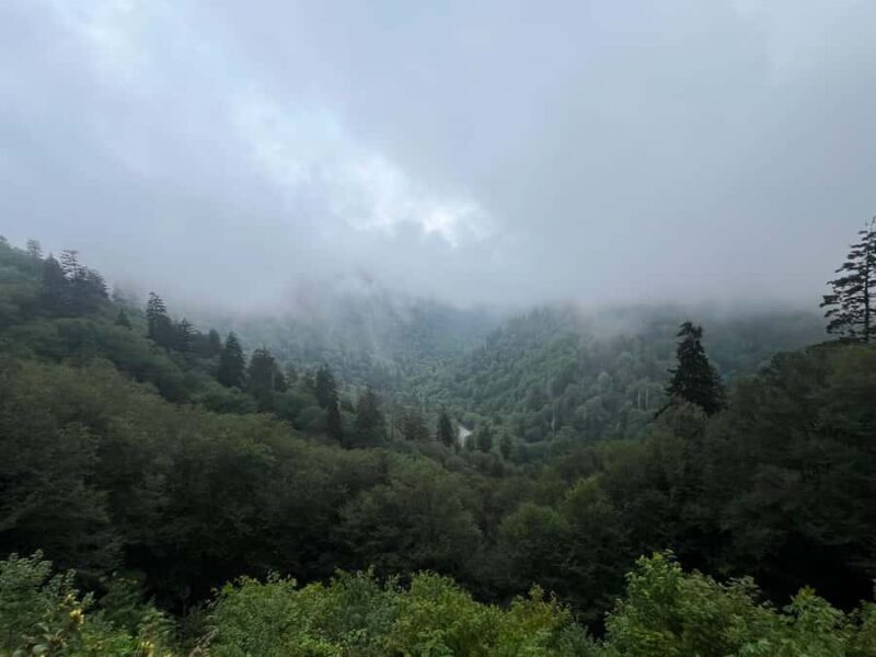 Great Smoky Mountains: Guided Hike & Outdoor Painting Class - Key Points