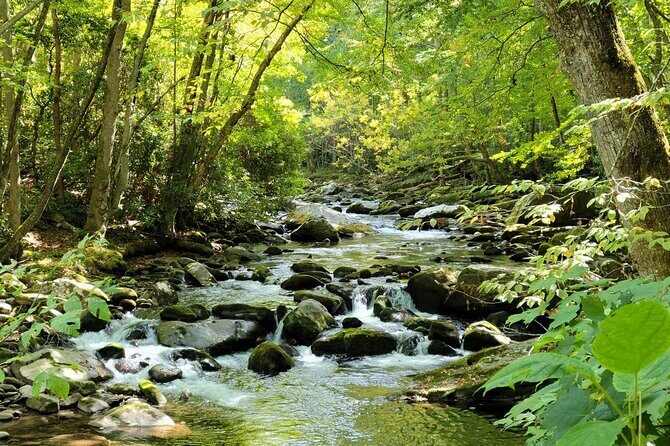 Great Smoky Mountains National Park Self-Guided Audio Tour - FAQ