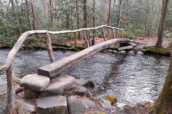 Great Smoky Mountains NP Driving Tour smartphone autoplay APP/GPS - An In-Depth Look at the Great Smoky Mountains GPS Driving Tour