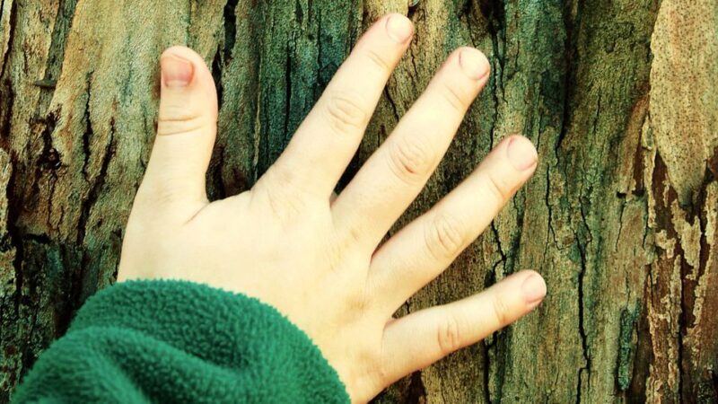 Greek Mythology for Kids: Private Tour - FAQs