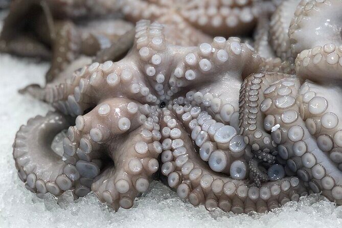 Greek traditional tastes The Kalamata Gastronomic Food Tour - The Sum Up