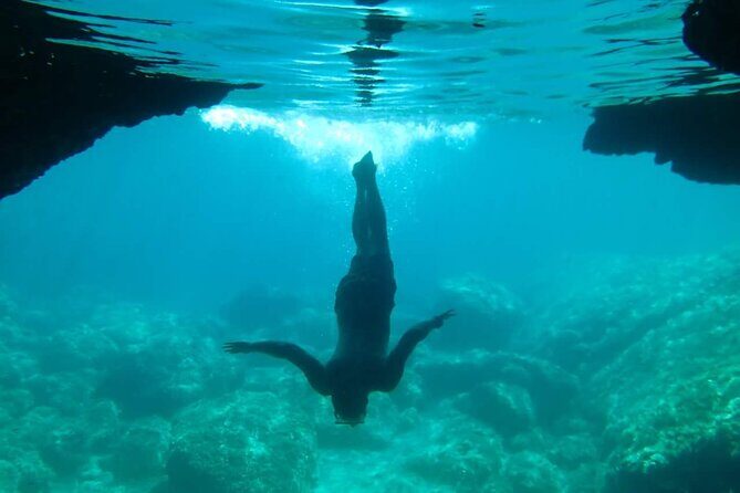 Green Cave Sea Kayak Day Tour in the Elaphiti islands - The Sum Up