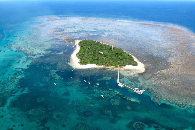 Green Island Day Trip from Cairns with Beaches Transfers - Key Points