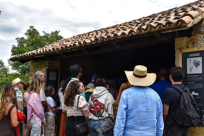 Green Line: Dalmatia For Nature Lovers with Sightseeing Bus - FAQ