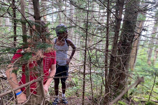 Green Mountain Adventure Challenge Passes - The Sum Up: Is This Adventure Right for You?