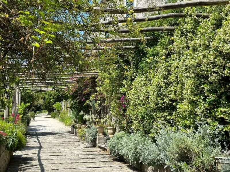 Green Oasis & Ston Wine Adventure Tour with Tickets - Green Oasis & Ston Wine Adventure Tour with Tickets: A Deep Dive