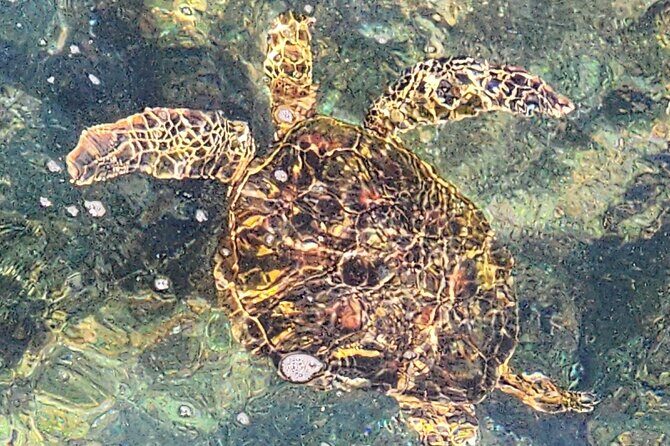 Green Sands Adventure ATV Ride - The Sum Up