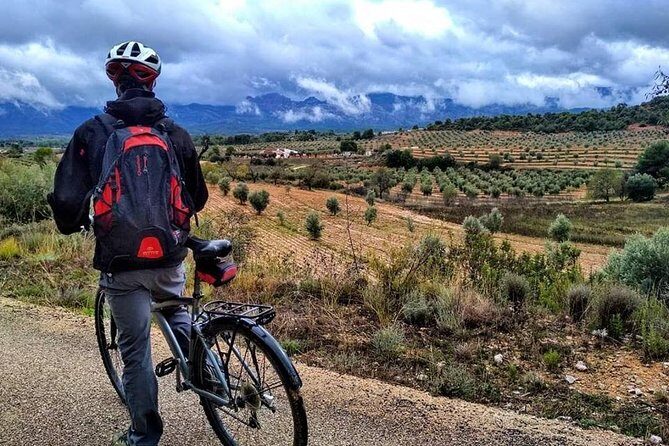 Greenway Section Cretas - Horta de Sant Joan 11km (90% descending 10% flat) - Stops and Highlights