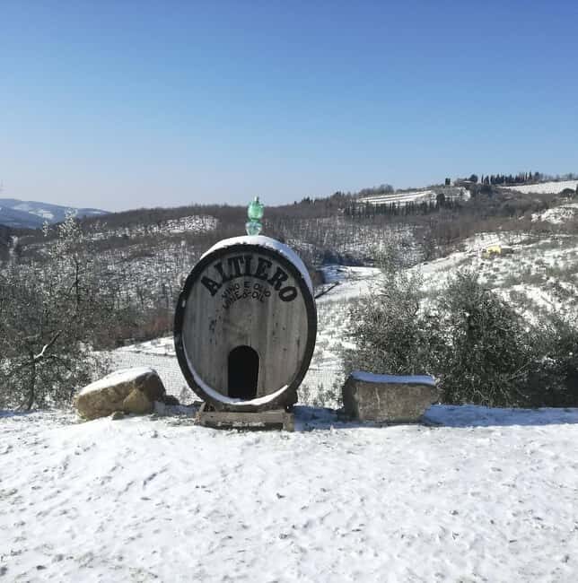 Greve in Chianti: Tour and tasting of organic Chianti Classico and Tuscan snacks - Key Points