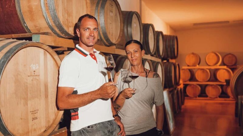 Greve in Chianti: Tour and tasting of organic Chianti Classico and Tuscan snacks - What This Tour Offers: An Authentic Slice of Tuscany