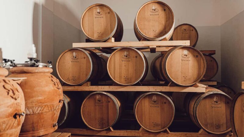 Greve in Chianti: Tour and tasting of organic Chianti Classico and Tuscan snacks - The Organic Olive Oil and Local Products