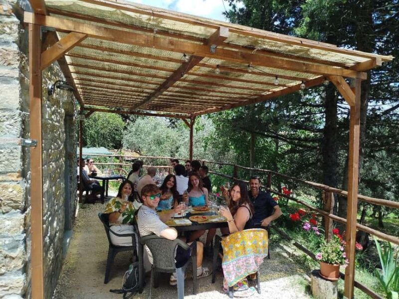 Greve in Chianti: Wine tasting and visit to our small winery - Key Points
