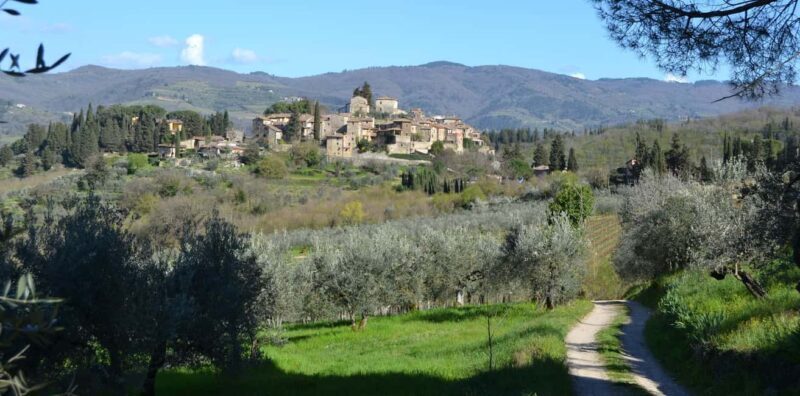 Greve in Chianti: Wine tasting and visit to our small winery - An Authentic Taste of Tuscany in Just Two Hours