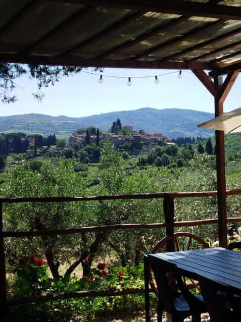 Greve in Chianti: Wine tasting and visit to our small winery - The Experience in Detail
