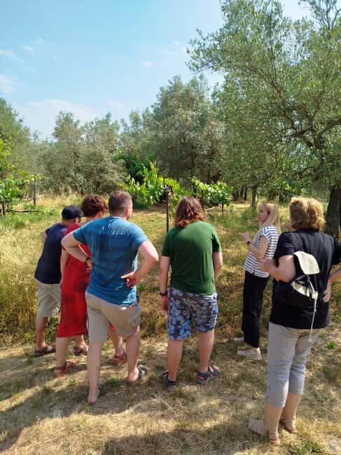 Greve in Chianti: Wine tasting and visit to our small winery - Practical Details