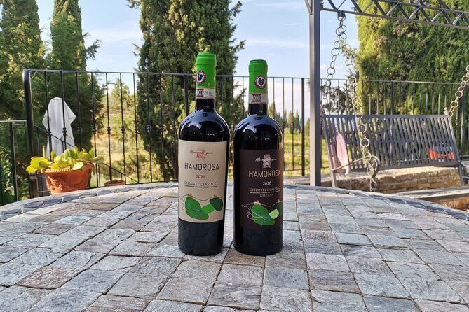 Greve in Chianti Wine Tasting and Winery Tour - Who Is This Tour Best For?